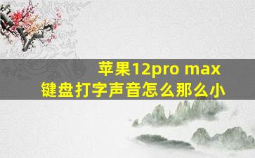 苹果12pro max键盘打字声音怎么那么小